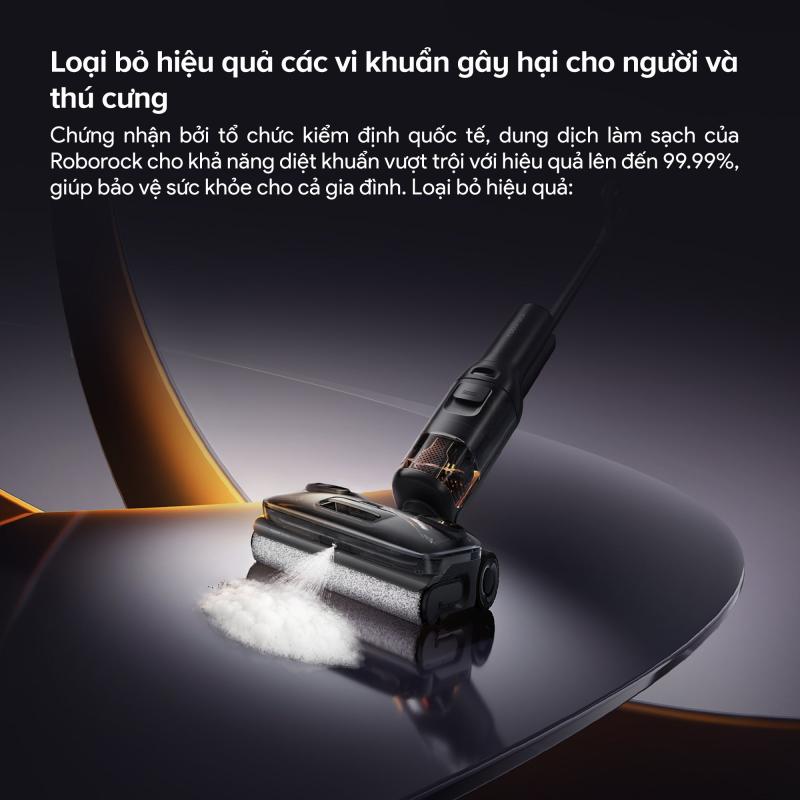 Roborock F25 ACE Pro